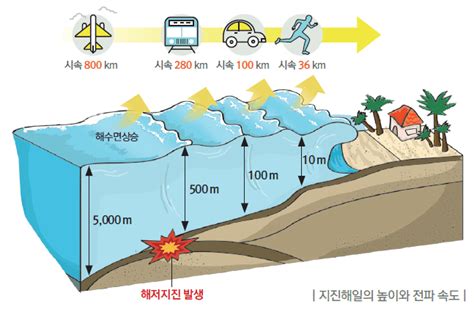 지진해일의 연구